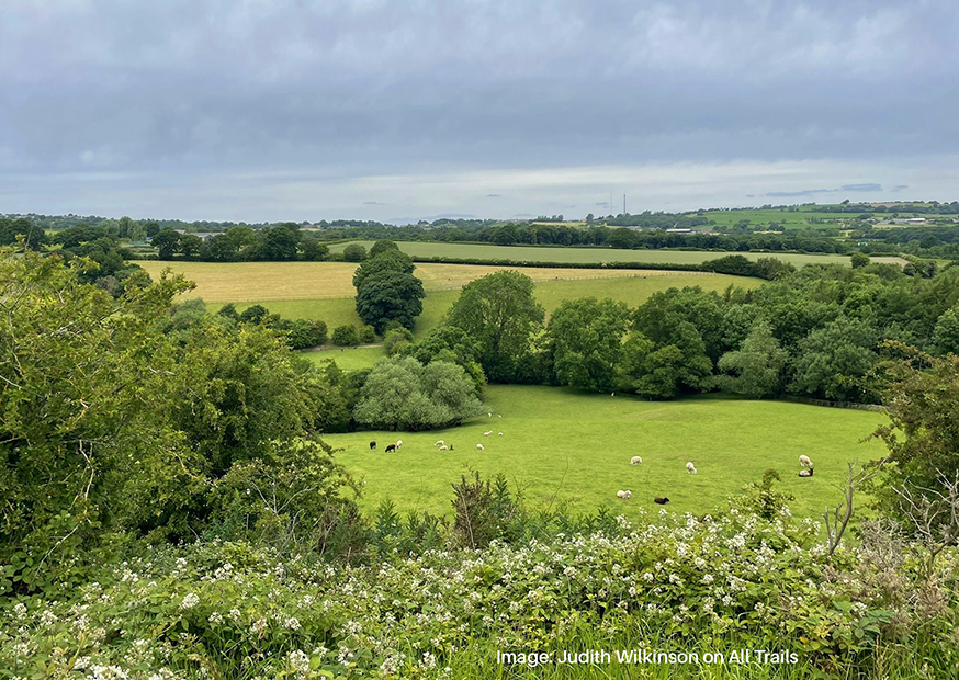 Image by Judith Wilkinson on All Trails