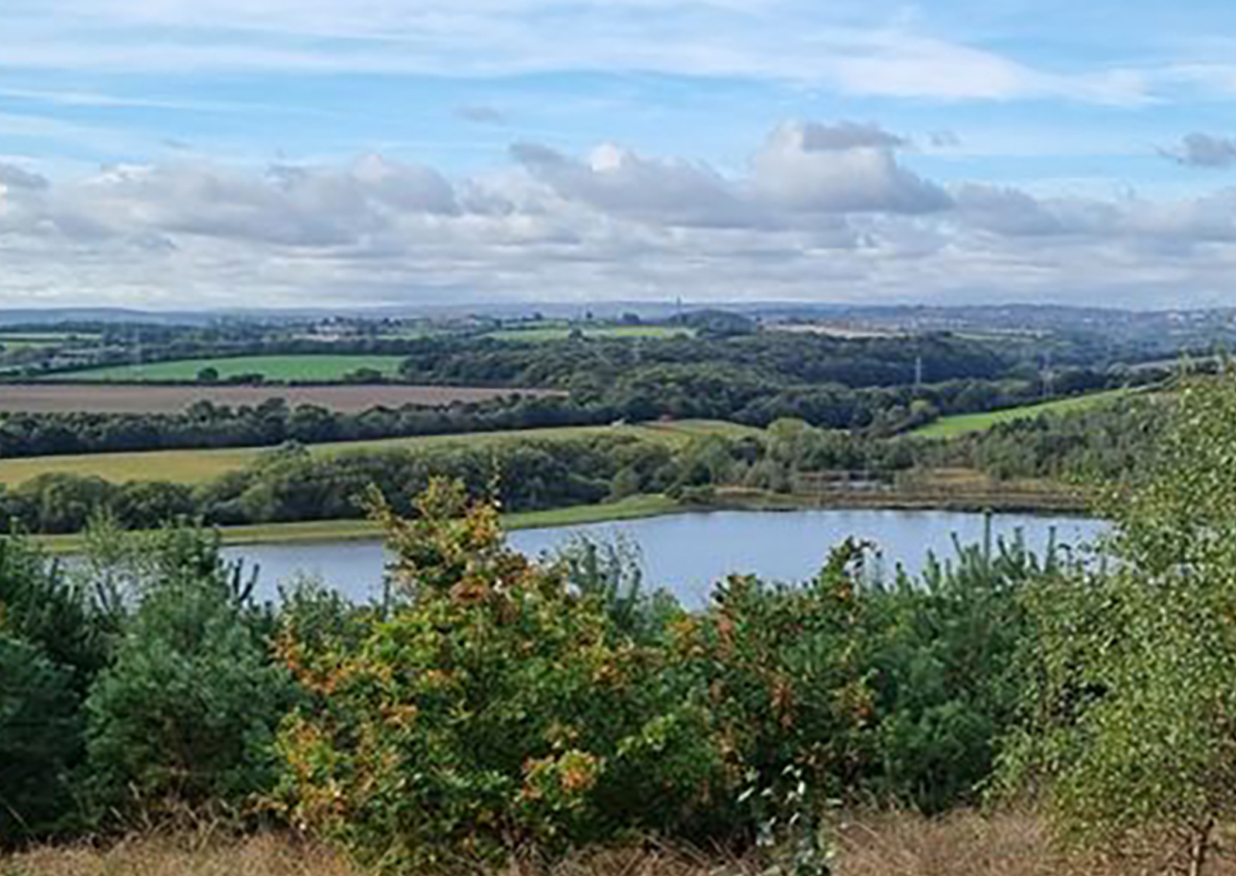 Grimethorpe nature Reserve