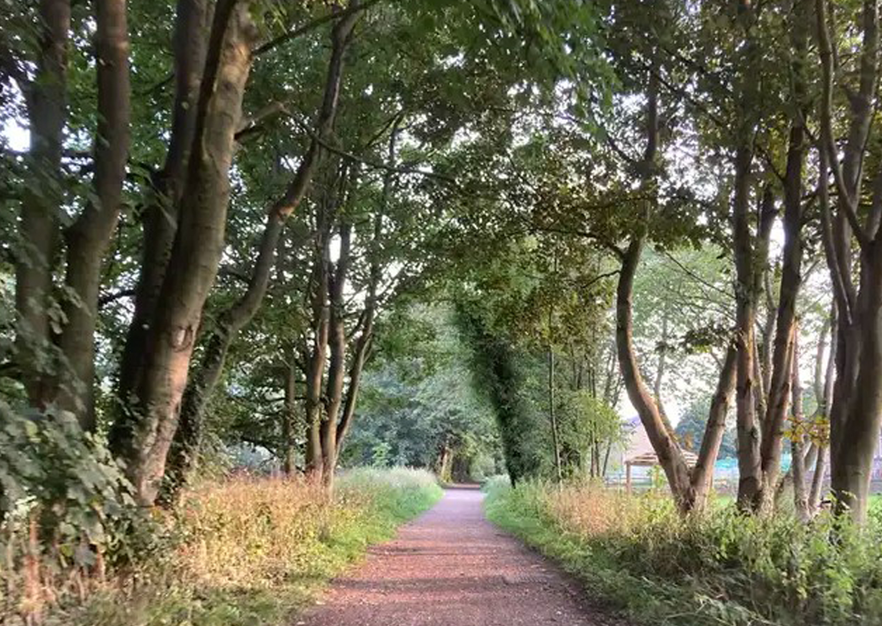 Near Cawthorne