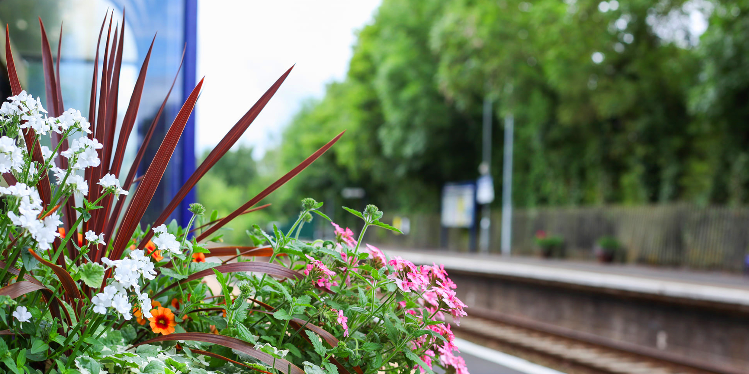 Planter