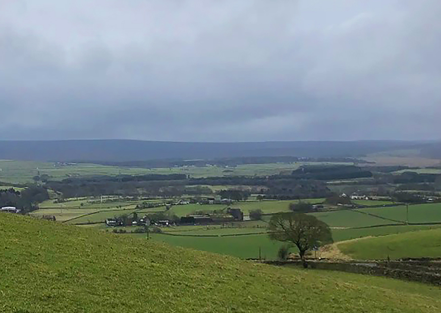 Royd Moor Views