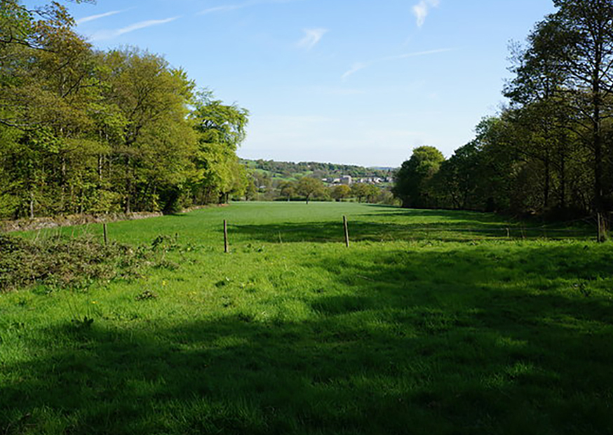 Roydhouse