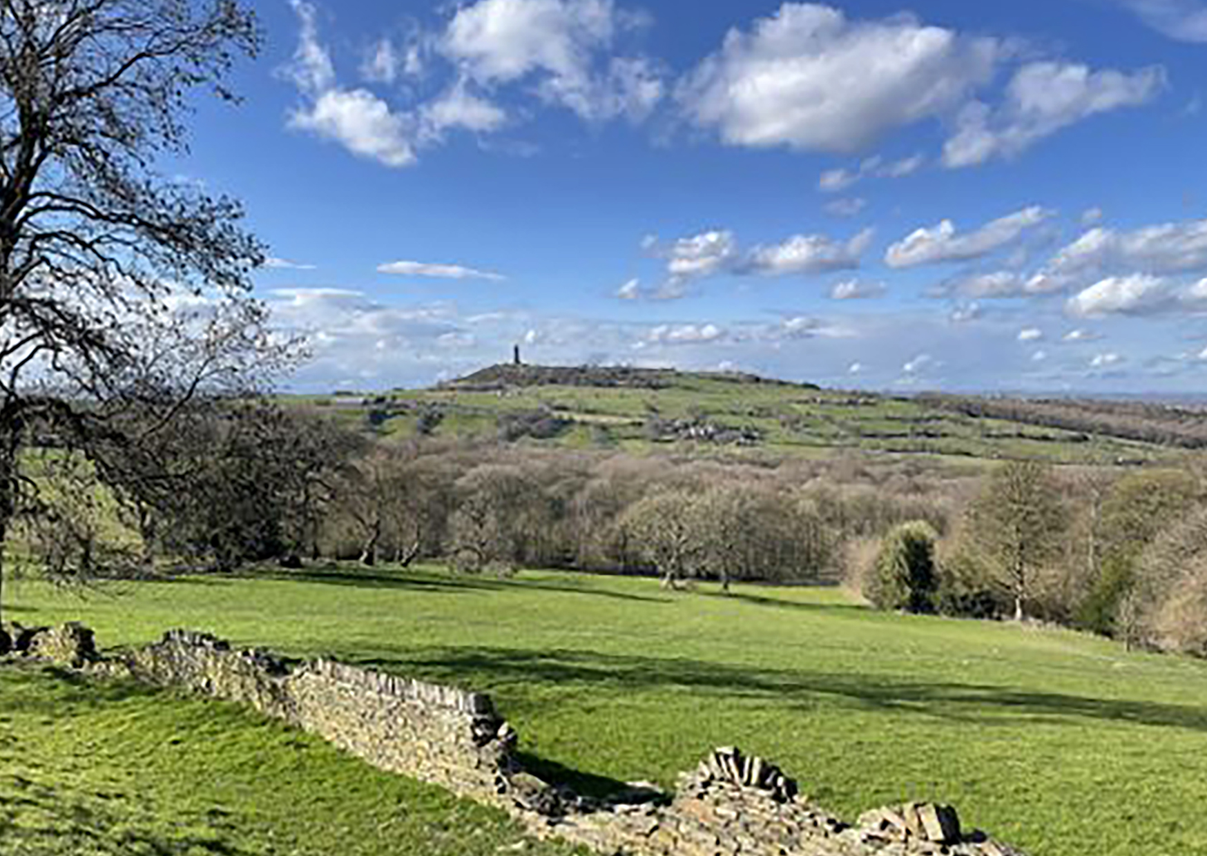 Shepley circular A6